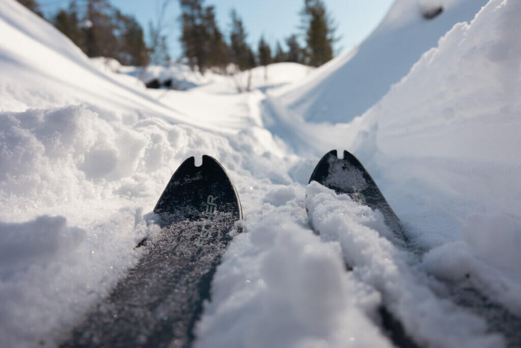 Kuvituskuva tunturisuksen kärjet polulla.