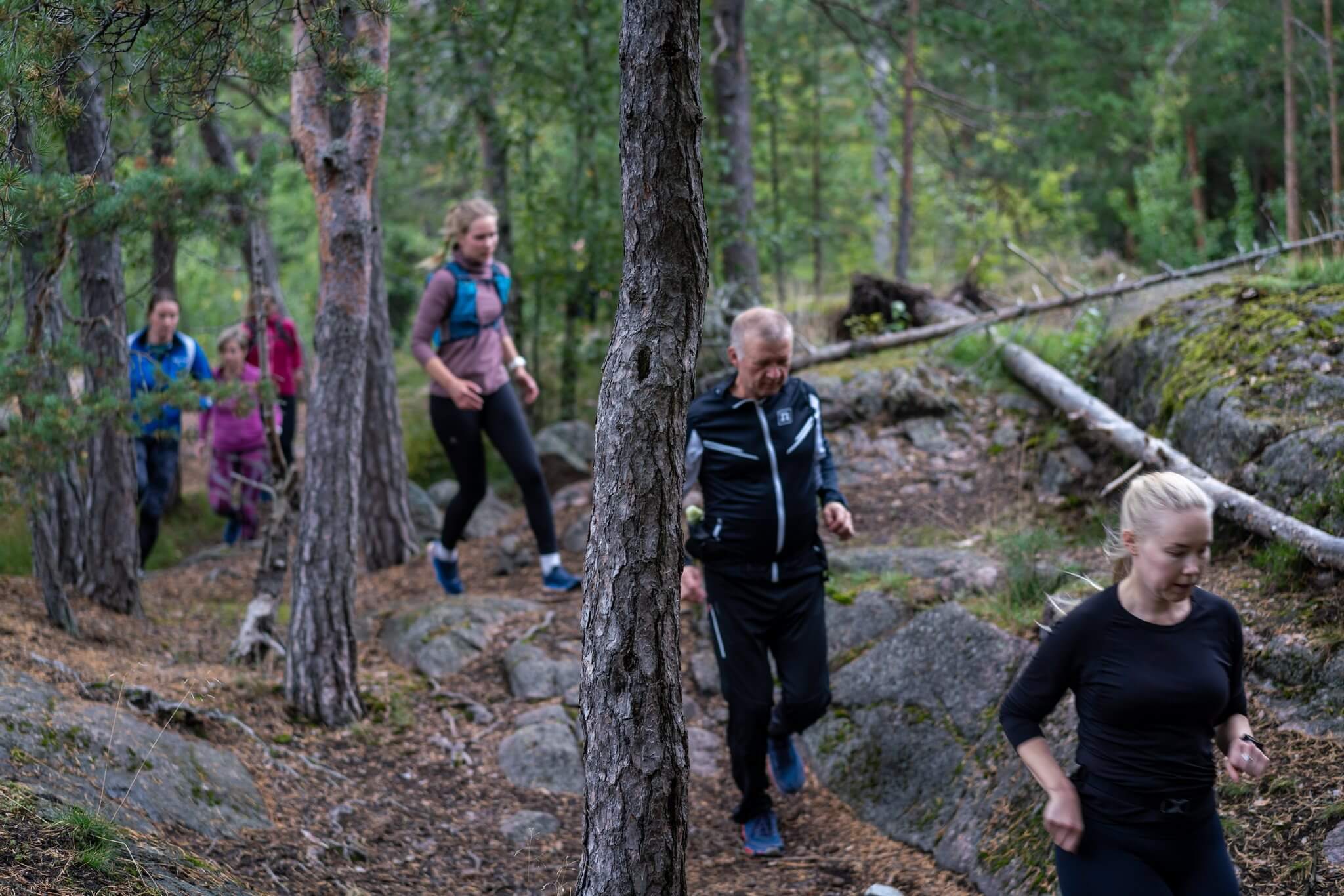 Polkujuoksijoita metsässä