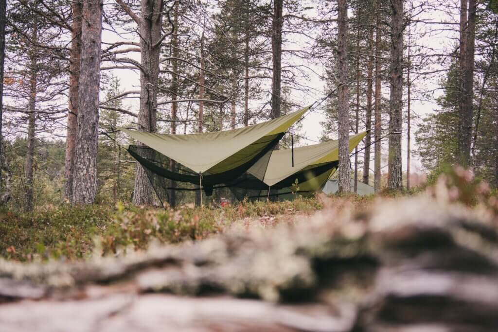 Kaksi riippumattoa lappilaisessa metsämaisemassa.